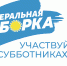 В регионе пройдет генеральная уборка - Газета Маяк