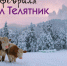 19 февраля – Вукол-телятник, жуколы - Газета Маяк