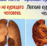 Полезные советы киреевчанам, желающим бросить курить - Газета Маяк