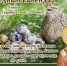 3 июля – Мефодий Перепелятник, паутинный день, погодоуказатель - Газета Маяк