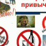 Боремся с вредными привычками. Видео - Газета Маяк