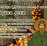 Народные приметы на 20 февраля – Лука, Феня – спасовы коренья, Могущница - Газета Маяк