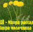 16 мая – Мавра рассадница - Газета Маяк