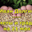 Народные приметы на 21 мая – Иван Богослов, Арсений пшеничник, Иванов день - Газета Маяк