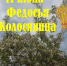 11 июня: погода в Киреевском районе и народные приметы - Газета Маяк
