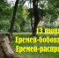 13 июня: погода в Киреевском районе и народные приметы - Газета Маяк