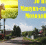 30 июня: погода в Киреевском районе и народные приметы - Газета Маяк